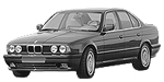 BMW E34 DF239 Fault Code